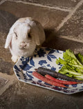 Buras Rabbit